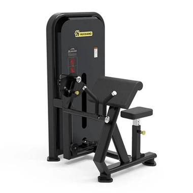 تمرین مربی عضله دو سر