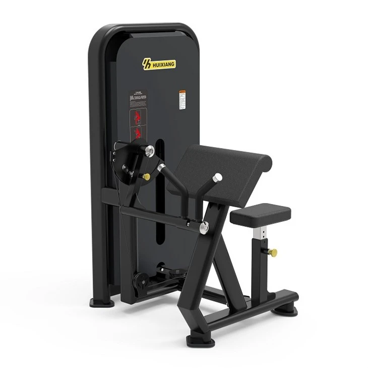 Workout Biceps Trainer